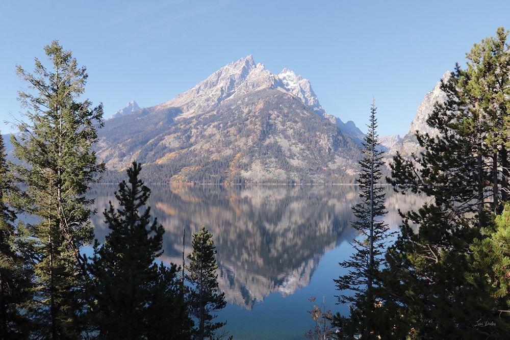 Reflections at Jenny Lake art print by Lori Deiter for $57.95 CAD