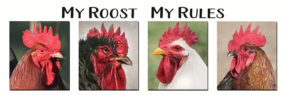 My Roost My Rules art print by Lori Deiter for $57.95 CAD