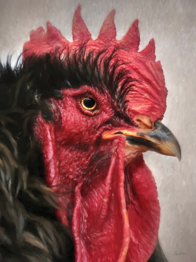 Cocky art print by Lori Deiter for $57.95 CAD