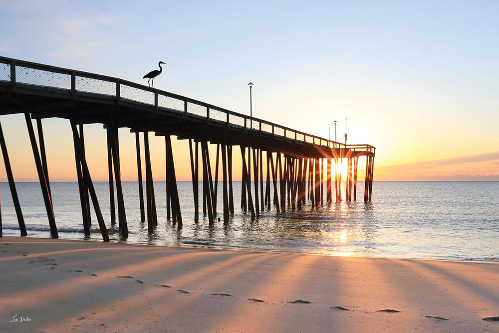 The Piers Morning Visitor art print by Lori Deiter for $57.95 CAD