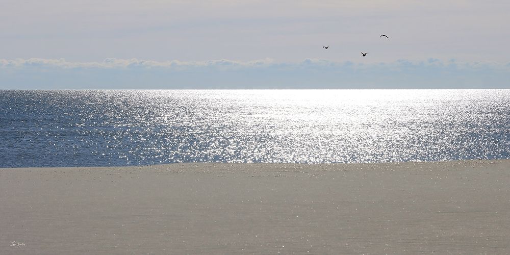 Sunlit Sparkles on the Sea art print by Lori Deiter for $57.95 CAD