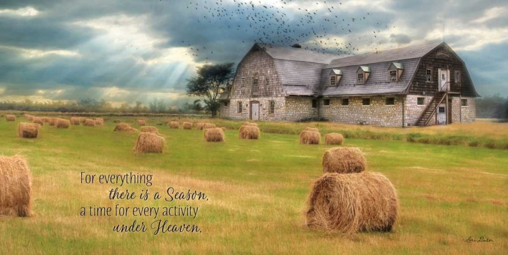 A Time to Reap art print by Lori Deiter for $57.95 CAD