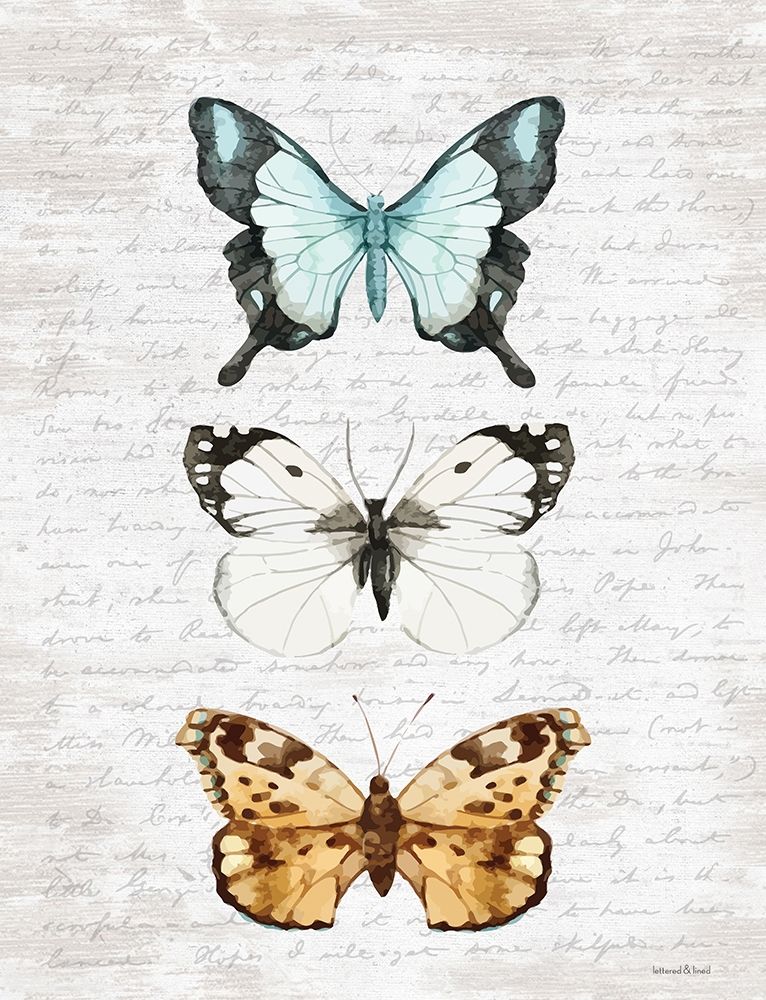 Butterfly Trio art print by Lettered and Lined for $57.95 CAD