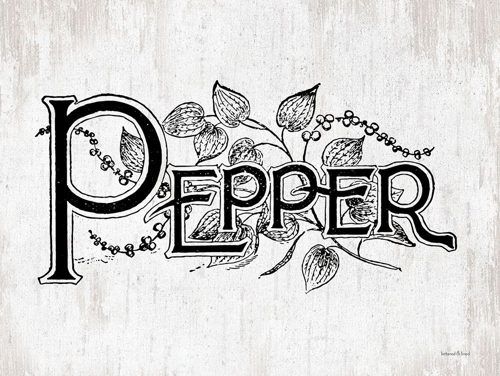 Pepper art print by lettered And lined for $57.95 CAD