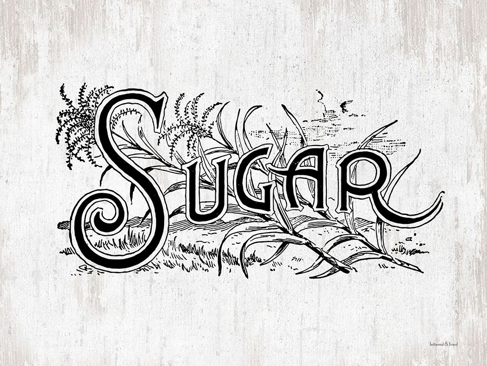 Sugar art print by lettered And lined for $57.95 CAD
