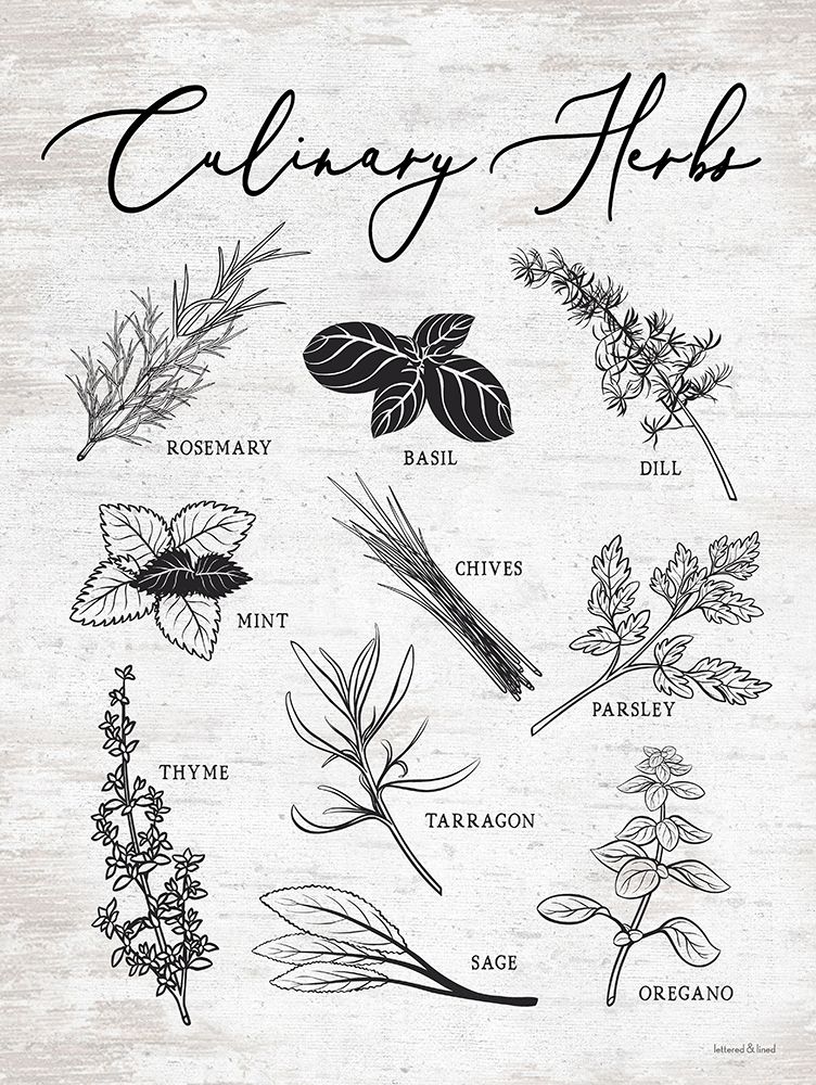 Culinary Herbs art print by lettered And lined for $57.95 CAD