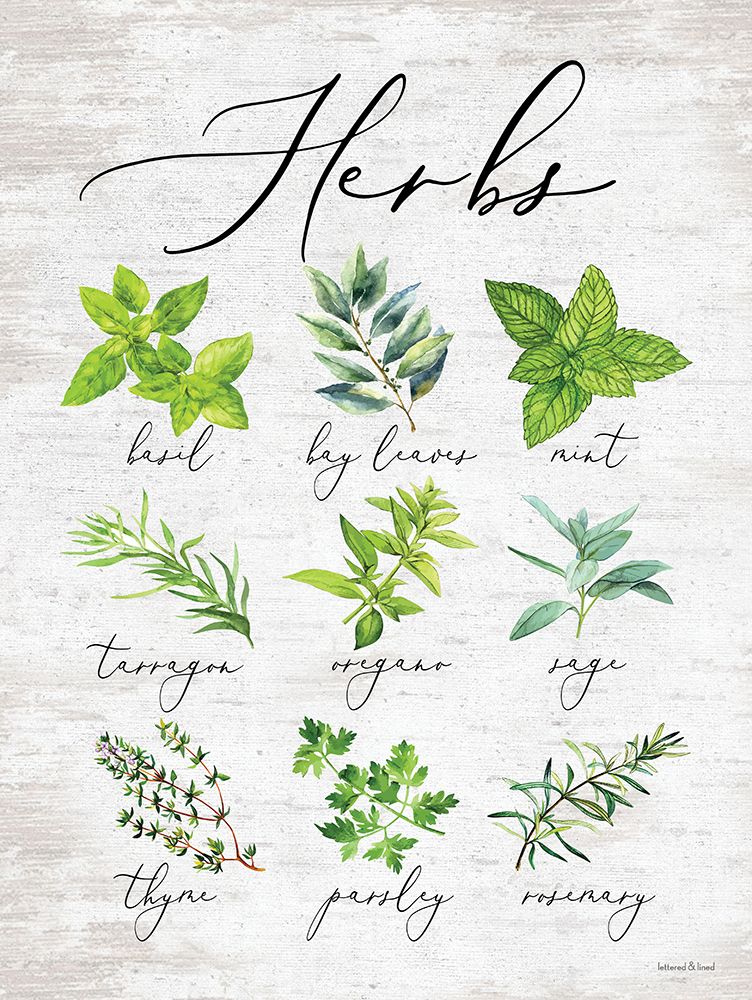 Herbs art print by lettered And lined for $57.95 CAD