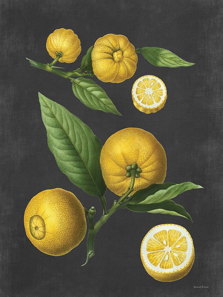Lemon Citrus art print by Lettered and Lined for $57.95 CAD