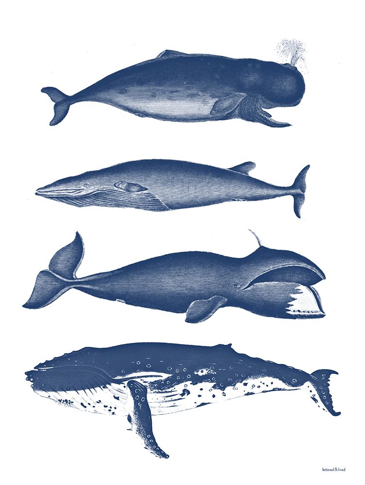 Whales art print by Lettered And Lined for $57.95 CAD