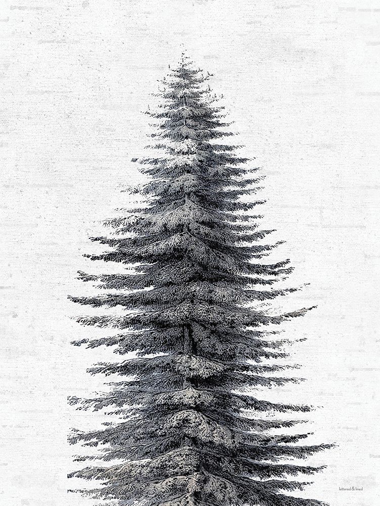 Up Close Pine Tree art print by lettered And lined for $57.95 CAD