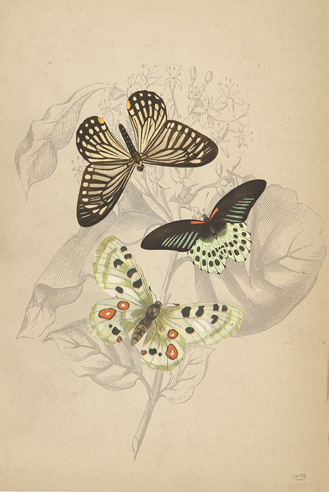 Butterfly Trio art print by Lux + Me Designs for $57.95 CAD