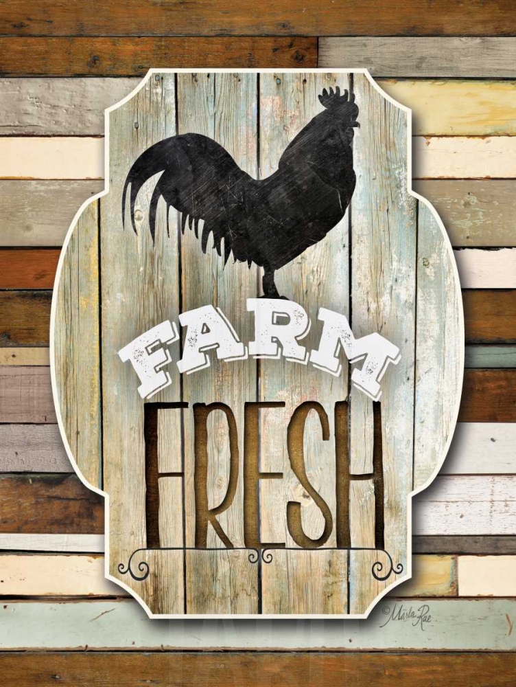 Farm Fresh art print by Marla Rae for $57.95 CAD