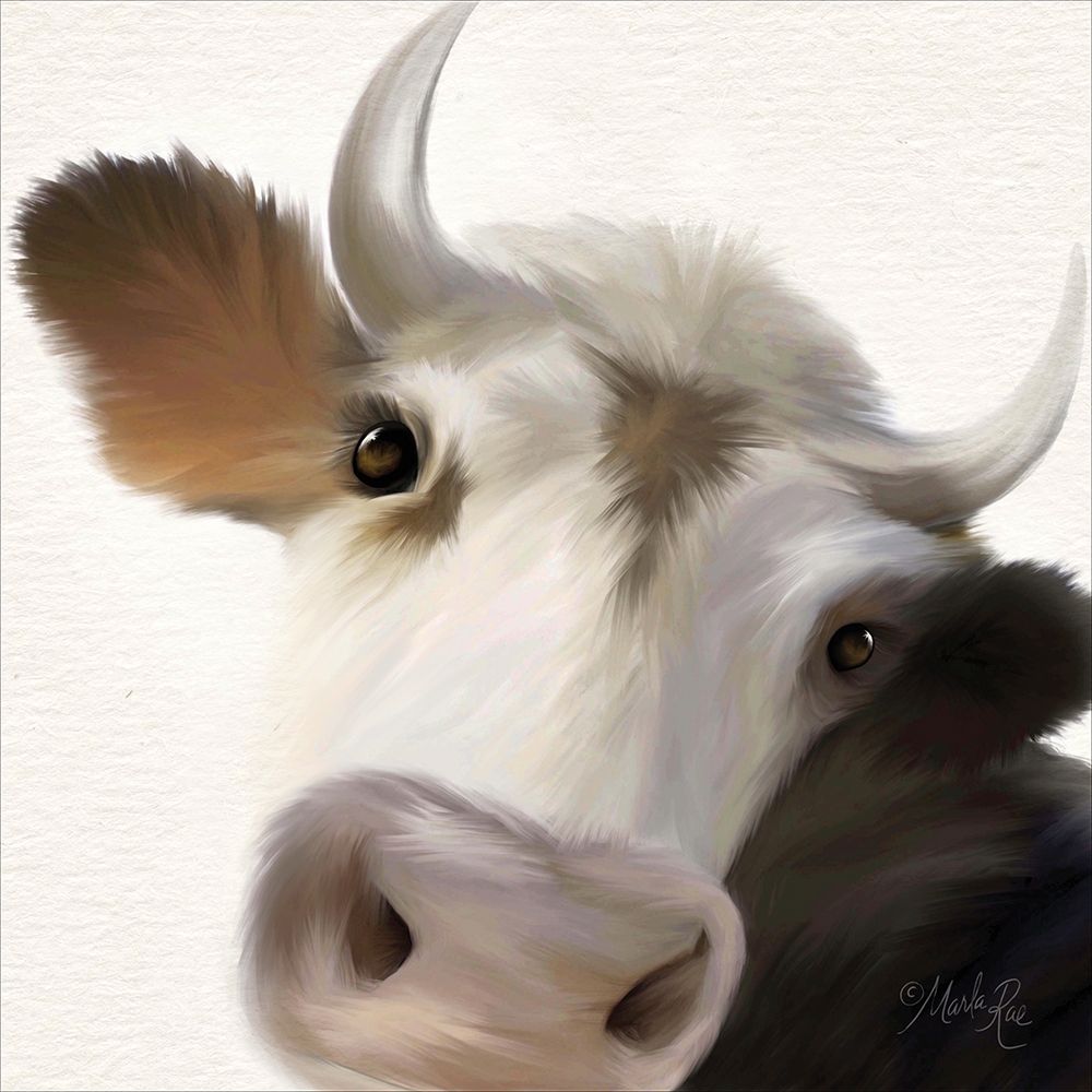 Harvey Up Close art print by Marla Rae for $57.95 CAD