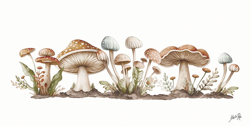 Mushroom Medley art print by Marla Rae for $57.95 CAD