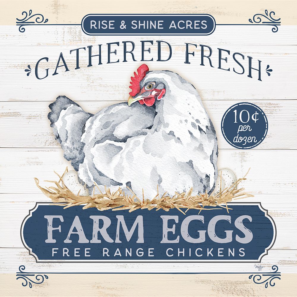 Gathered Fresh Farm Eggs art print by Mollie B. for $57.95 CAD