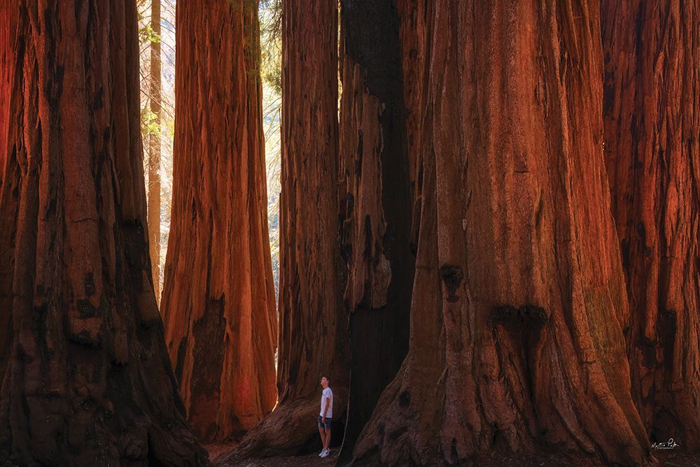 Small Human in a Big World art print by Martin Podt for $57.95 CAD