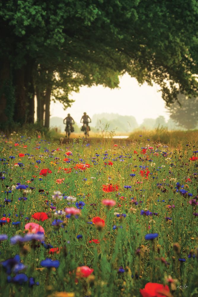 Bike Ride Among the Wildflowers art print by Martin Podt for $57.95 CAD