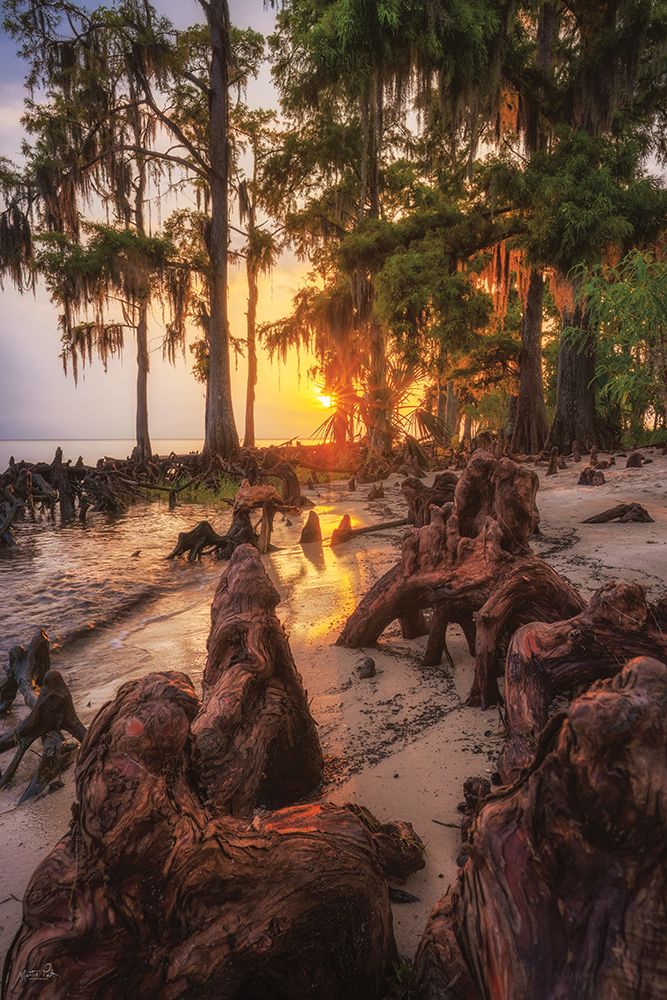 Last Light art print by Martin Podt for $57.95 CAD