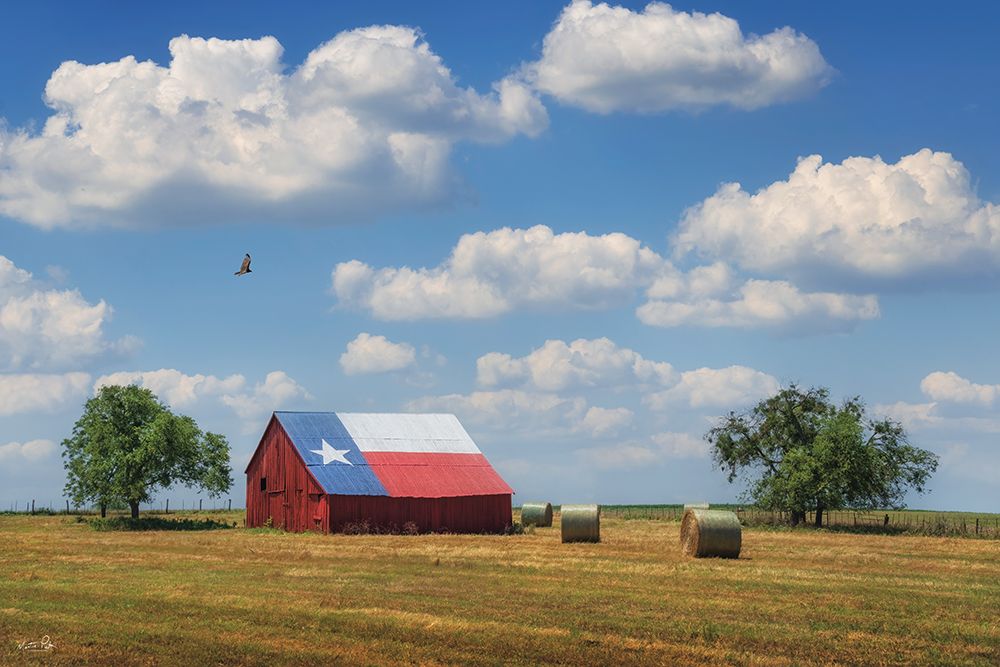 Lone Star Barn art print by Martin Podt for $57.95 CAD