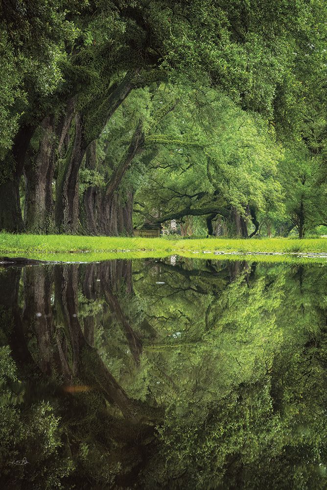 The Green Eye art print by Martin Podt for $57.95 CAD