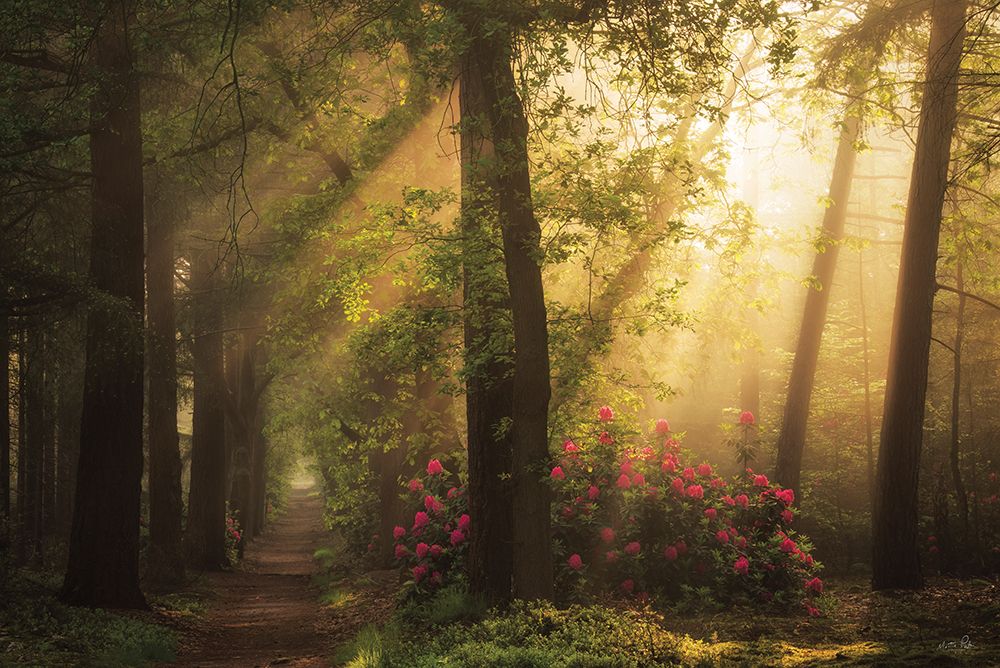 Fairytale Lane art print by Martin Podt for $57.95 CAD
