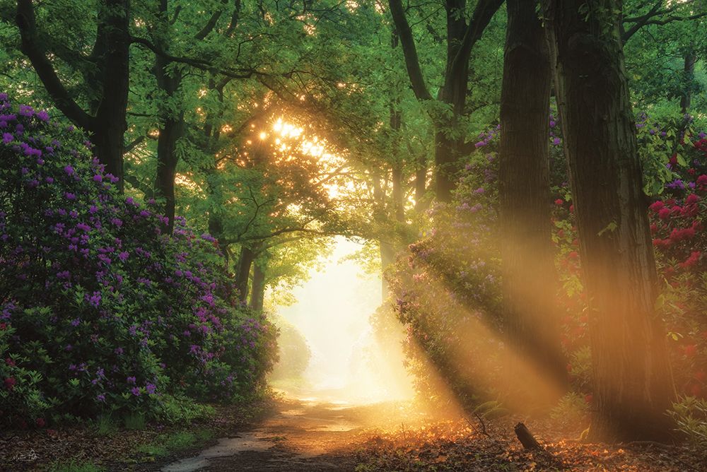 In a World of Magic art print by Martin Podt for $57.95 CAD