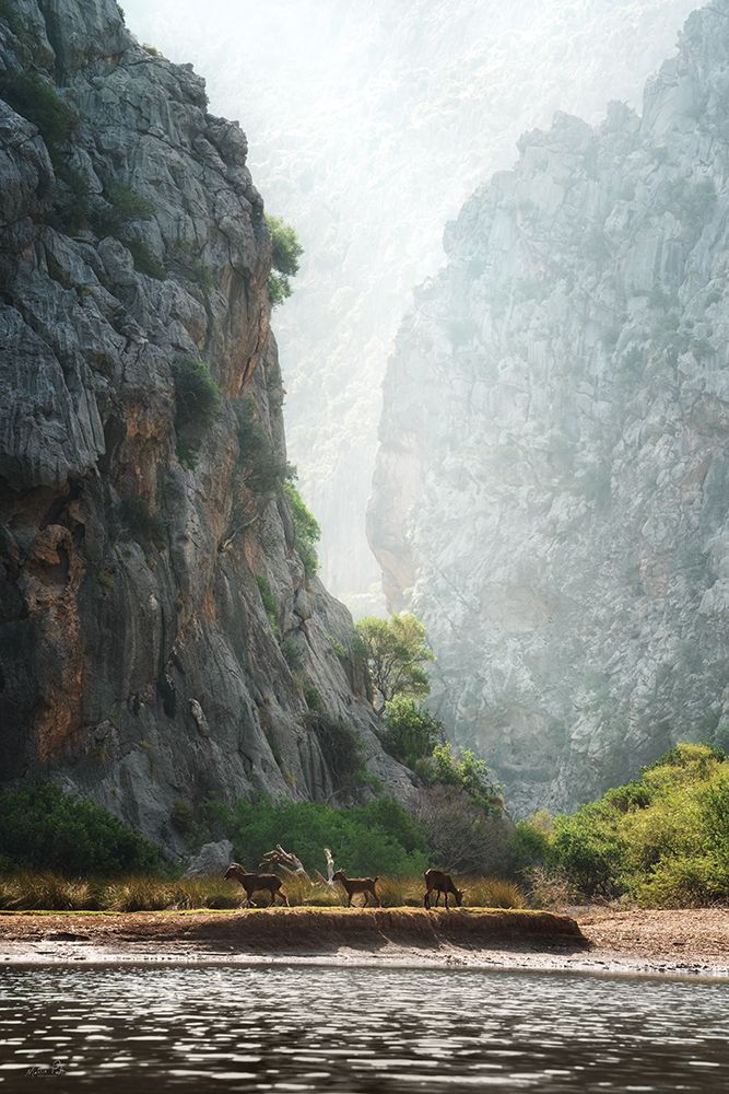 Stony Gorge art print by Martin Podt for $57.95 CAD
