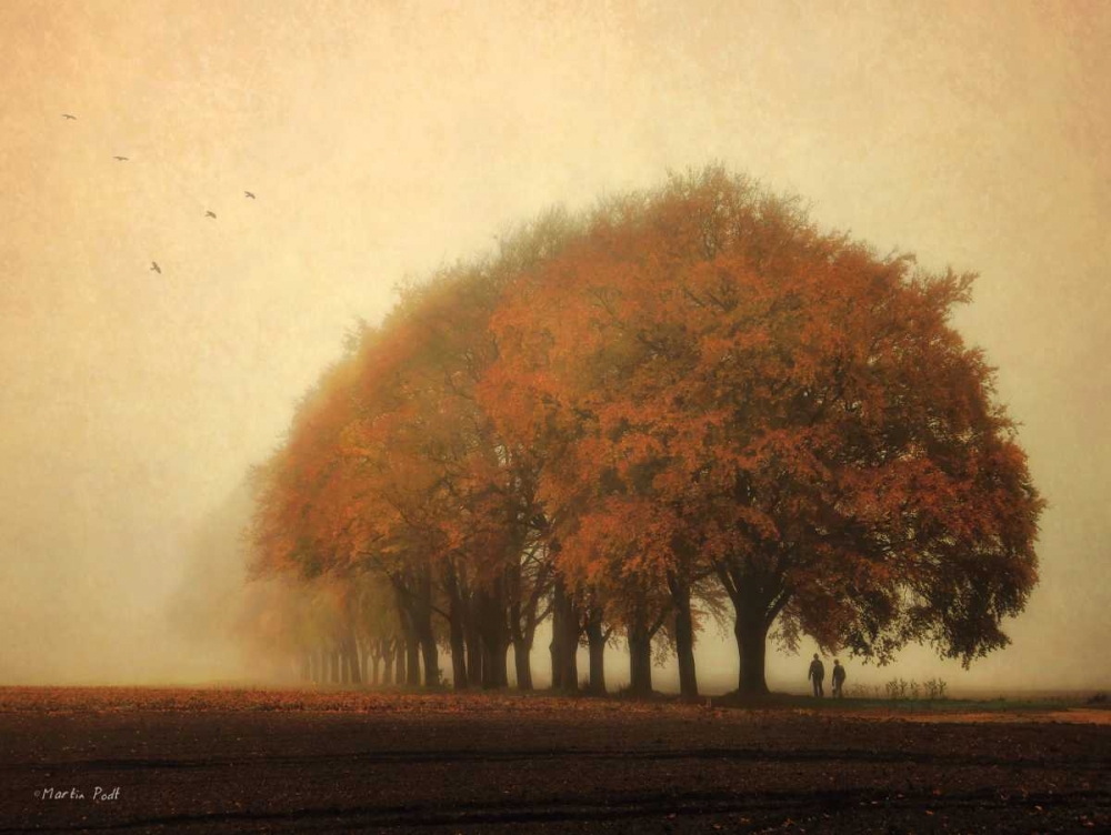 Not All Those Who Wander Are Lost art print by Martin Podt for $57.95 CAD