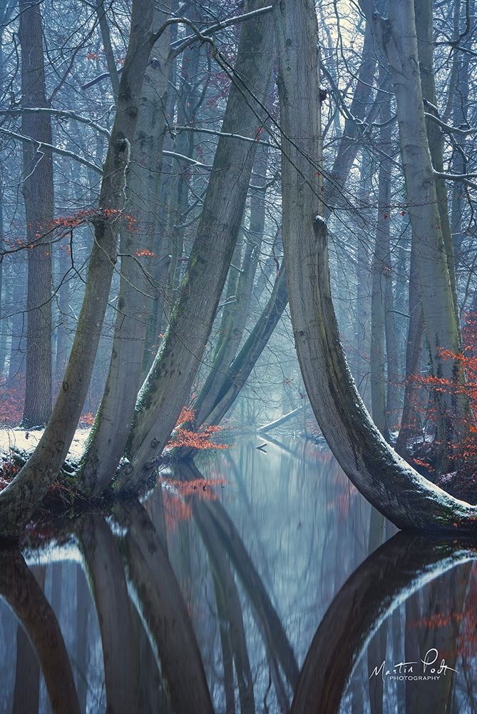 The Bent Ones - Winter Version art print by Martin Podt for $57.95 CAD