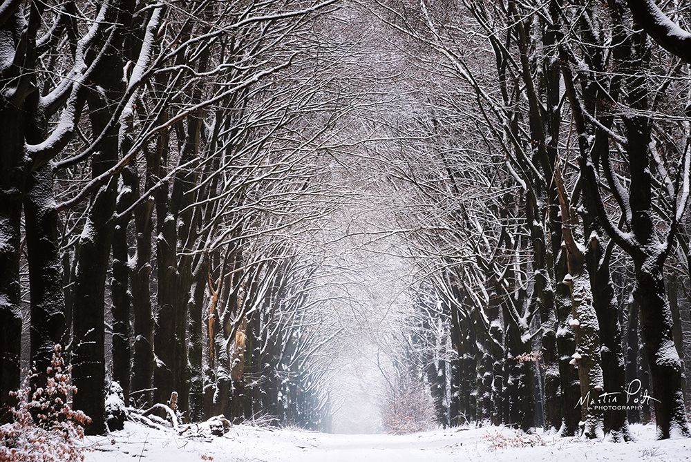 Winter Tunnel art print by Martin Podt for $57.95 CAD