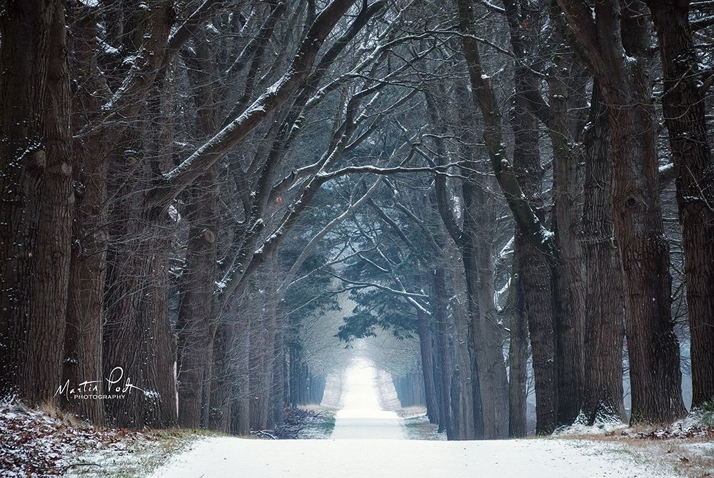 Cold Road art print by Martin Podt for $57.95 CAD