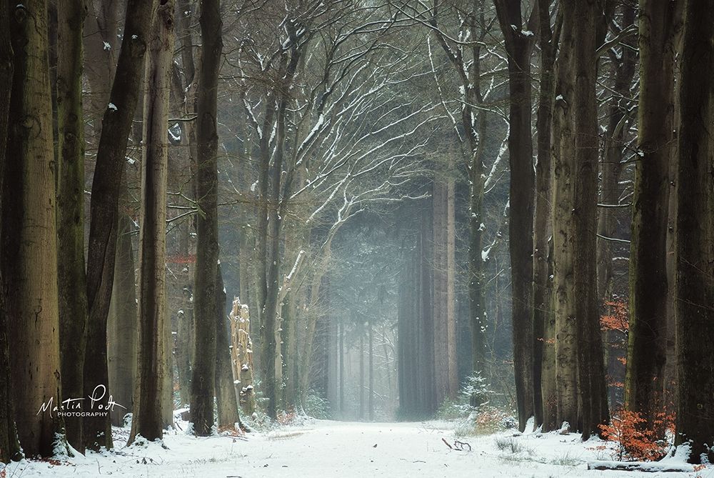 Winer Alley art print by Martin Podt for $57.95 CAD