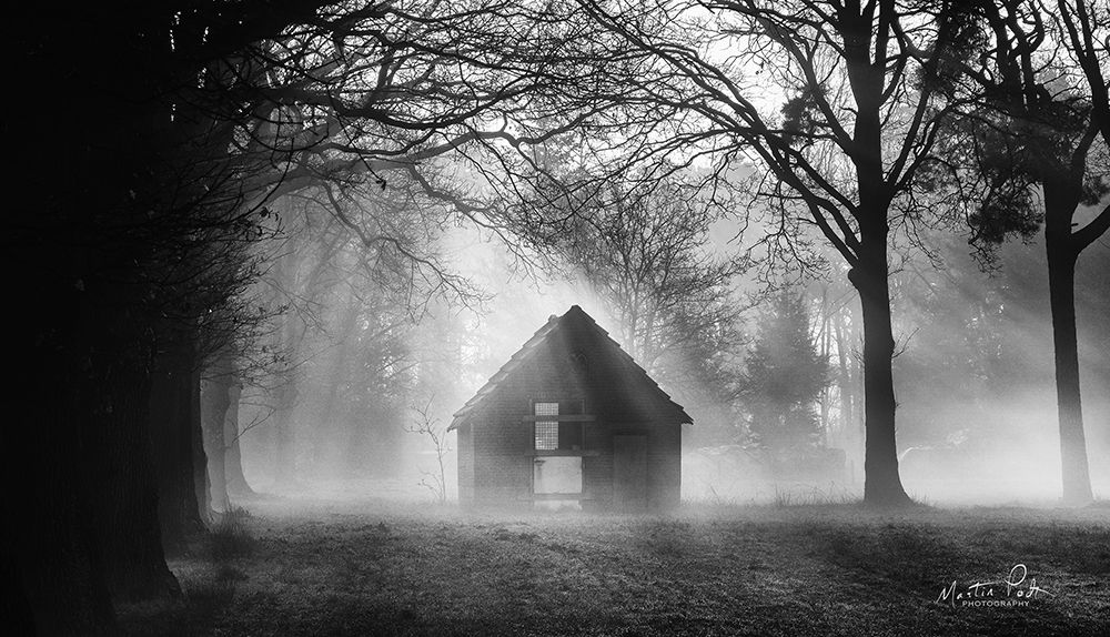 The Shed art print by Martin Podt for $57.95 CAD