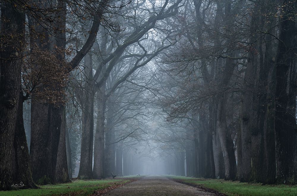 Creepy Road art print by Martin Podt for $57.95 CAD