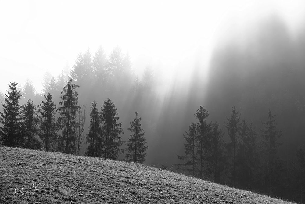 Natures Tranquility art print by Martin Podt for $57.95 CAD