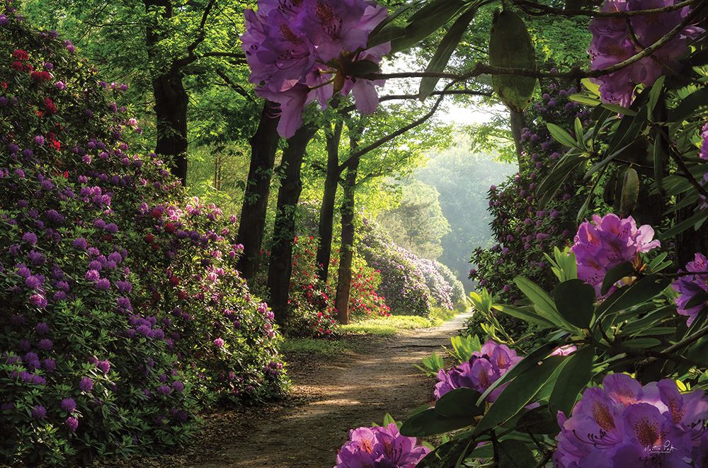 Rhododendron Lane art print by Martin Podt for $57.95 CAD