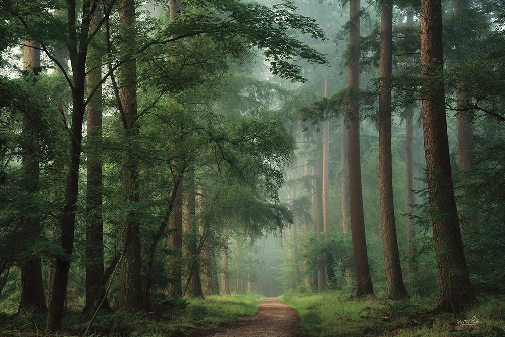Moody Green art print by Martin Podt for $57.95 CAD