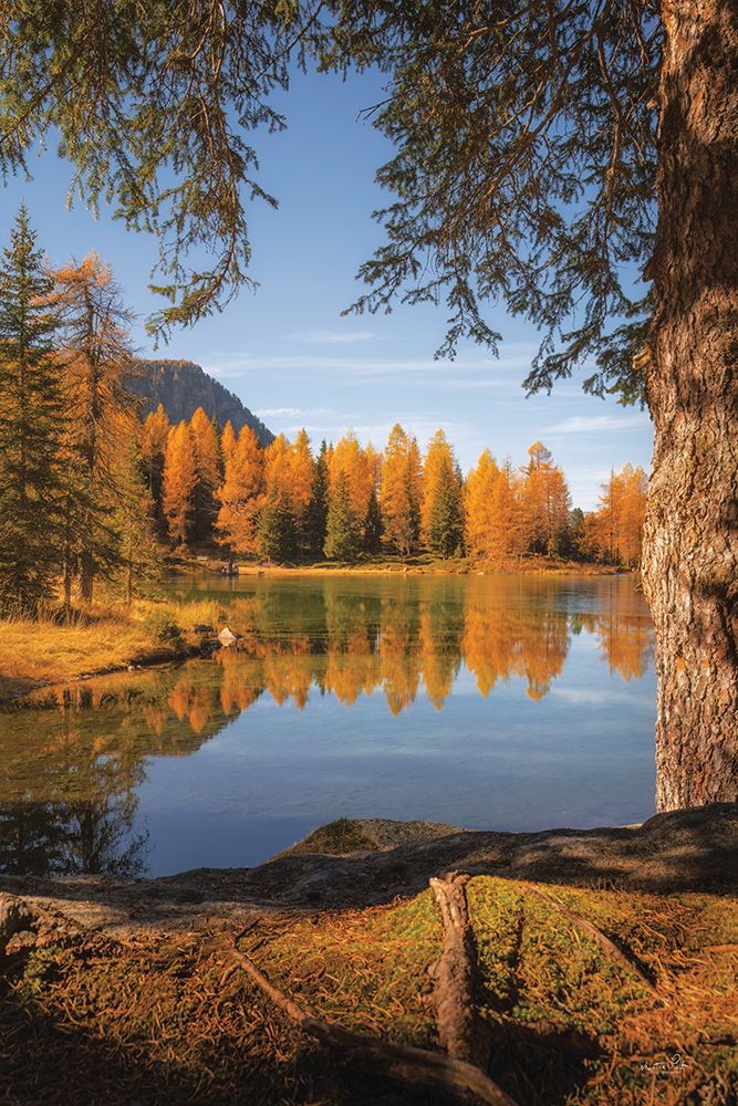 Autumn Happy Place art print by Martin Podt for $57.95 CAD