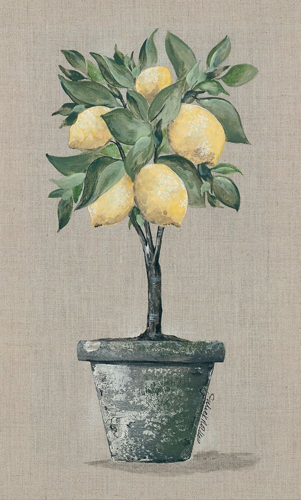 Lemon Tree art print by Julie Norkus for $57.95 CAD