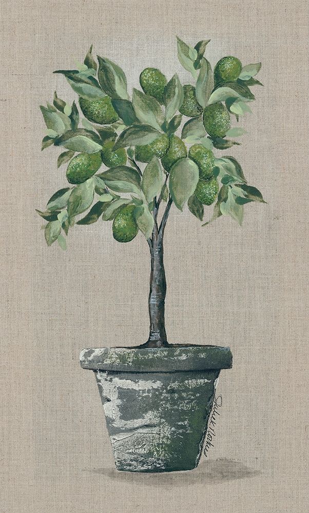 Lime Tree art print by Julie Norkus for $57.95 CAD