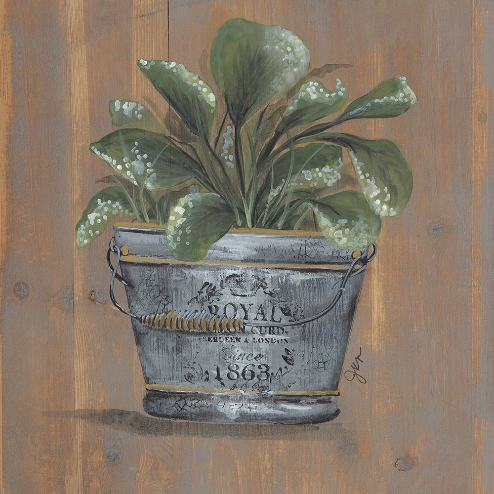 Pretty Plant in Pail art print by Julie Norkus for $57.95 CAD