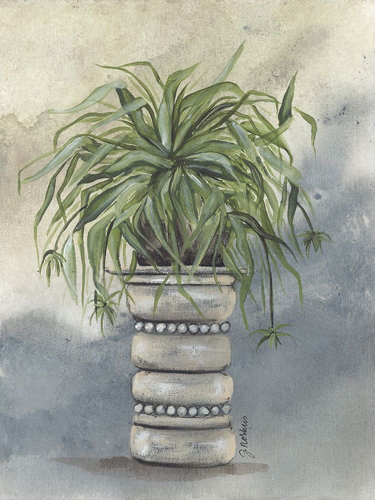 Spider Plant in Pottery art print by Julie Norkus for $57.95 CAD