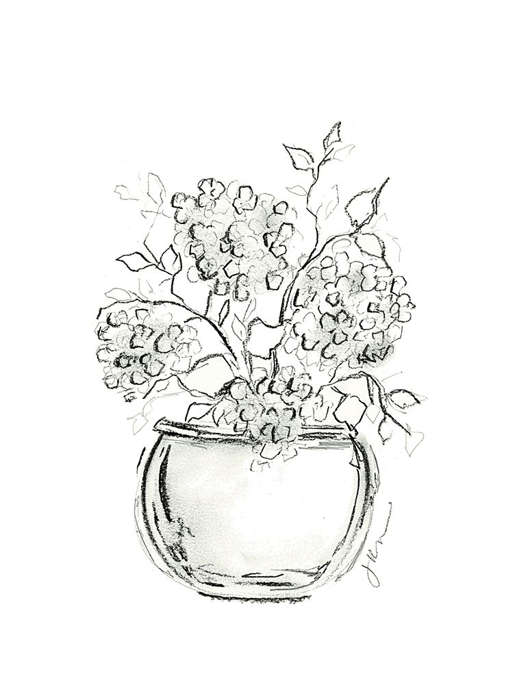 Hydrangea Charcoal Sketch art print by Julie Norkus for $57.95 CAD