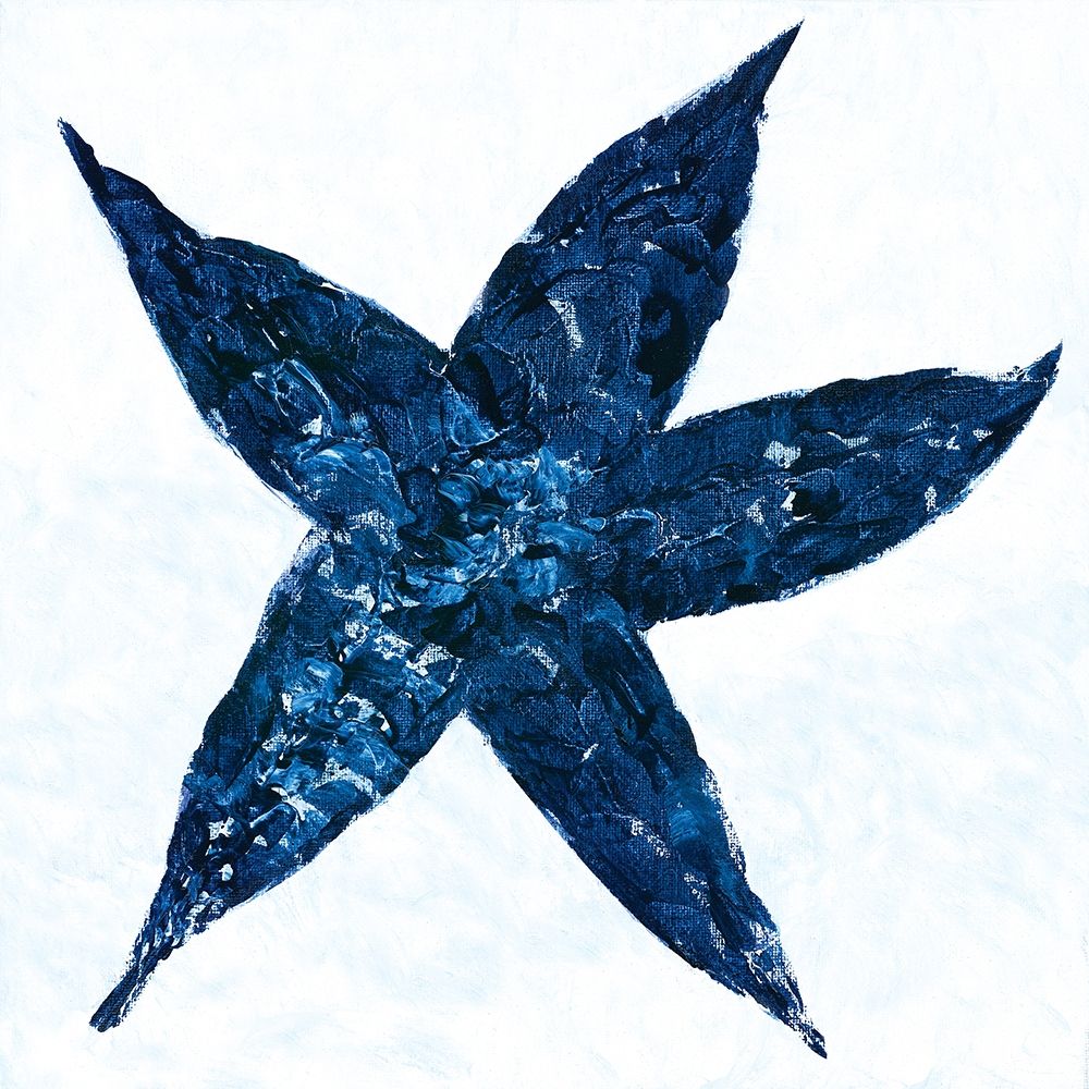 Midnight Starfish art print by Roey Ebert for $57.95 CAD