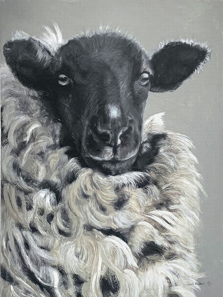 Sheep   art print by Suzi Redman for $57.95 CAD