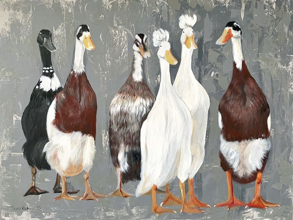 Six Runner Ducks art print by Suzi Redman for $57.95 CAD