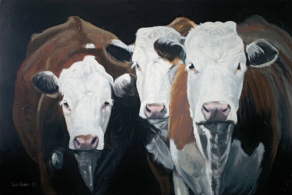 Hereford Gathering    art print by Suzi Redman for $57.95 CAD