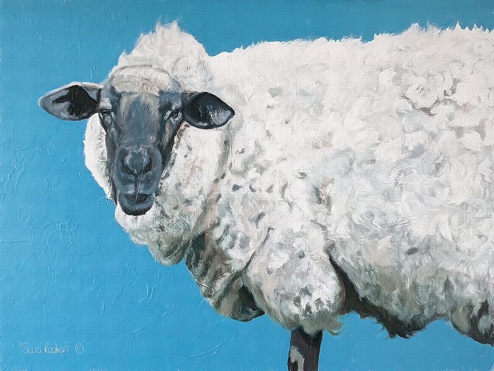 Wooly Sheep art print by Suzi Redman for $57.95 CAD