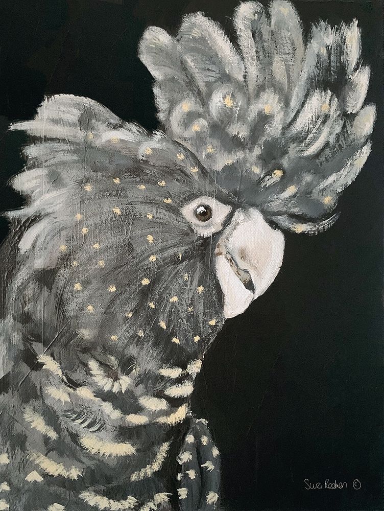 Gray Cockatoo art print by Suzi Redman for $57.95 CAD