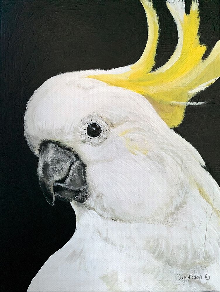 White Cockatoo art print by Suzi Redman for $57.95 CAD